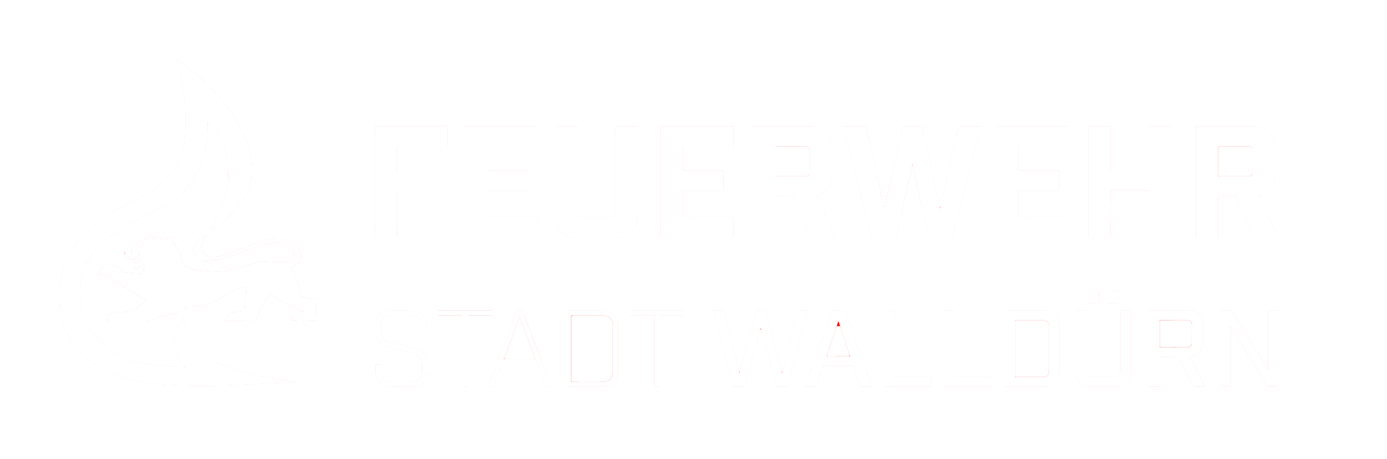 Feuerwehr Walldürn